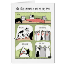 Aniversário do Spa Tratamentos com Gatos