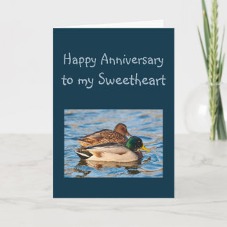 Cartão Aniversário do Swetheart Ducks Water Bird