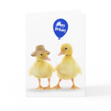 Aniversário dos Duckings e Balões