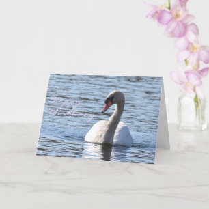 Cartão aniversário em Swan