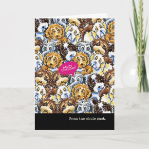 Cartão Aniversário engraçado dos cães misturados grupo da