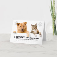 Aniversário Engraçado Gato e Cachorro Branco para 