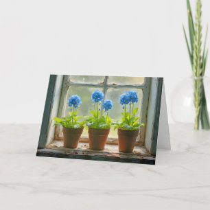 Cartão Aniversário Esquece-Me, Não Potes Flores