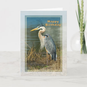 Cartão Aniversário, Excelente Blue Heron Bird Card