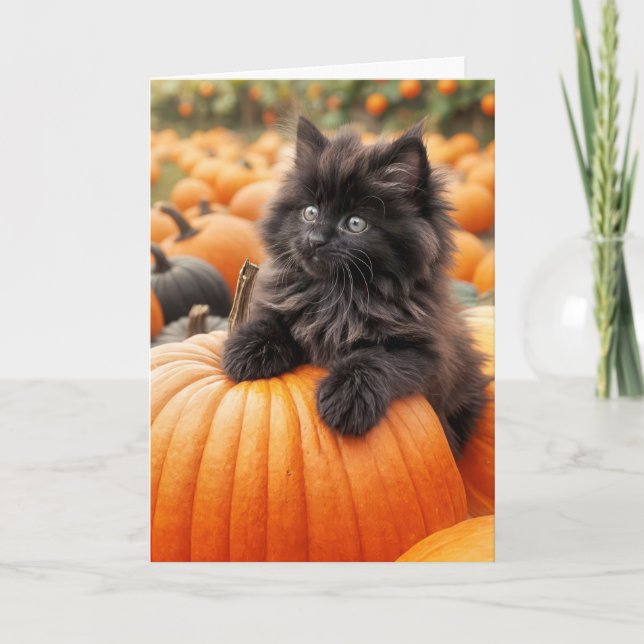 Cartão Aniversário Gatinho Negro Em Pumpkin Laranja (Frente)