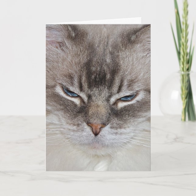 Cartão Aniversário Gato (Frente)