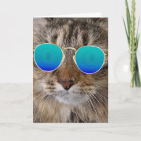 Aniversário Gato De Maine Coon Em Óculos De Sol