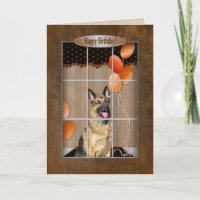 ANIVERSÁRIO - German shepherd - Balões da janela
