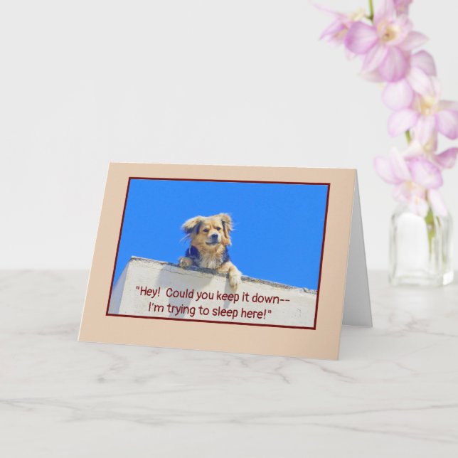 CARTÃO ANIVERSÁRIO HUMOR/DEIXE CÃES DORMINDO (Orquídea)