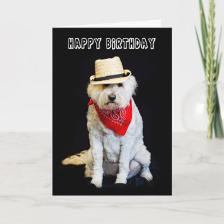 CARTÃO ANIVERSÁRIO - HUMOR - DOG/COWBOY HAT E SCARF