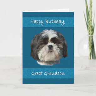 Cartão Aniversário, neto Excelente, cão Shih Tzu