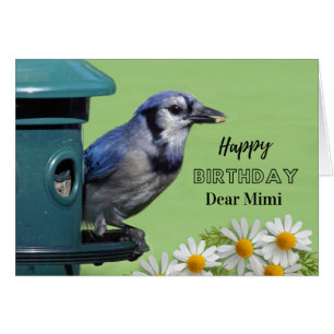 Cartão Aniversário para Mimi de um Gaio-Azul no Comedouro