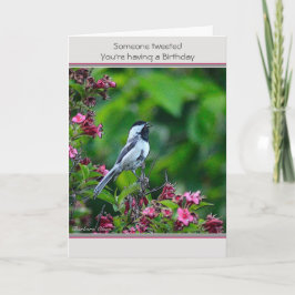 Cartão Aniversário: personalizar