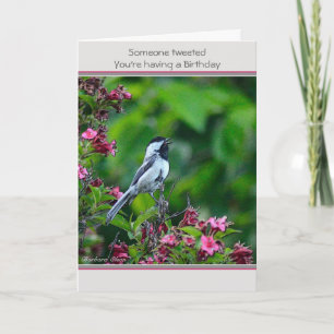 Cartão Aniversário: personalizar