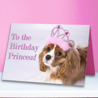 Cartão Aniversário Princesa Cavalier King Charles Card