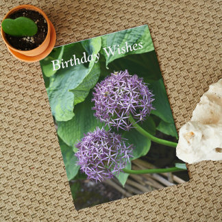 Cartão Aniversário Puro Allium Floral