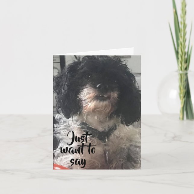 CARTÃO ANIVERSÁRIO QUERER QUE VOCÊ PEGUE UM OSSO/UM FALO (Frente)