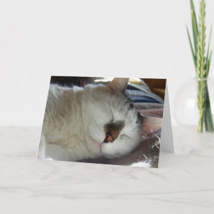 Cartão Aniversário sonolento do gatinho