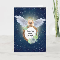 Anjo de pom de brinquedo da Pomerânia suculenta a 