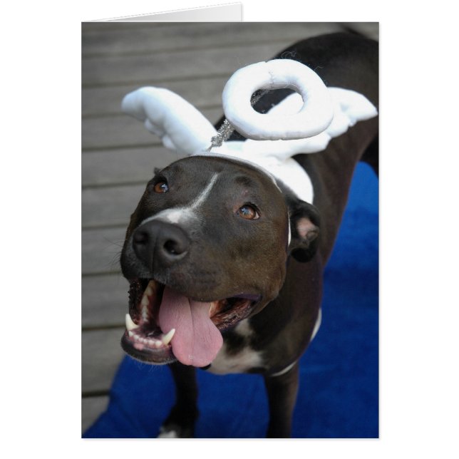 Cartão Anjo peludo (Frente)