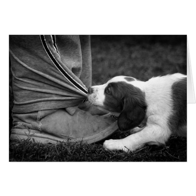 Cartão Ankle Biter (Frente Horizontal)