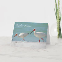 Anniversary Card, Florida Style