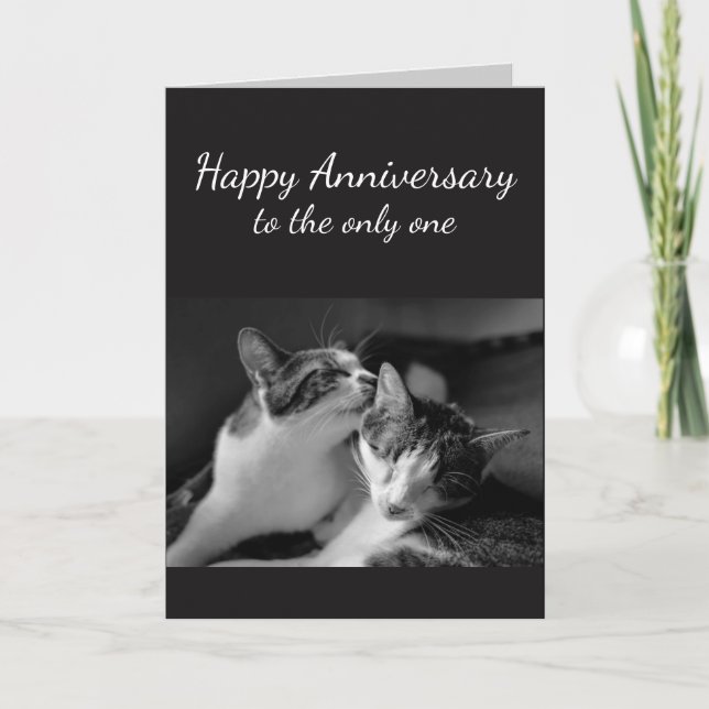 Cartão Anniversary Loved One Cat Humor (Frente)