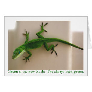 Cartão Anole verde