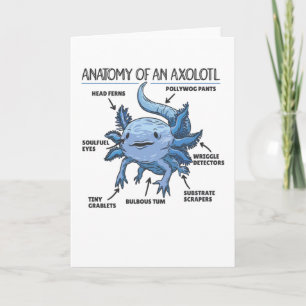 Cartão Anotação Axolotl Anatomia De Um Axolotl
