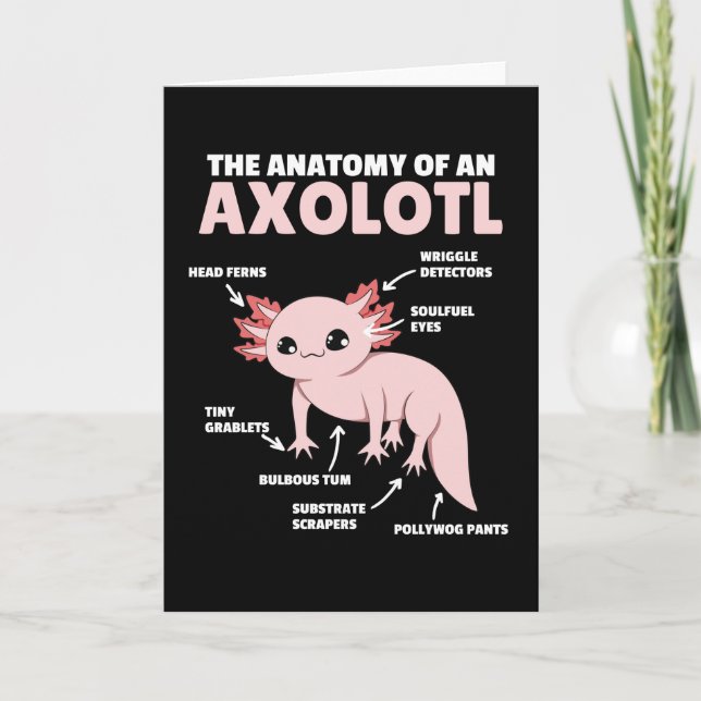 Cartão Anotação Axolotl Anatomia De Um Axolotl (Frente)