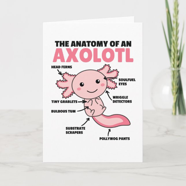Cartão Anotação Axolotl Anatomia De Um Axolotl (Frente)
