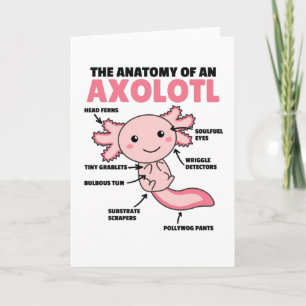 Cartão Anotação Axolotl Anatomia De Um Axolotl