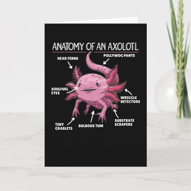 Cartão Anotação Axolotl Anatomia De Um Axolotl (Frente)