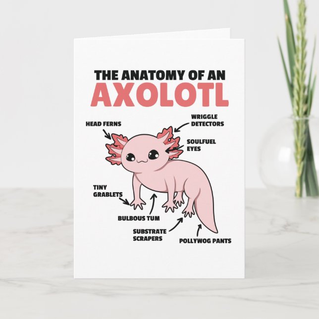Cartão Anotação Axolotl Anatomia De Um Axolotl (Frente)