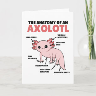 Cartão Anotação Axolotl Anatomia De Um Axolotl