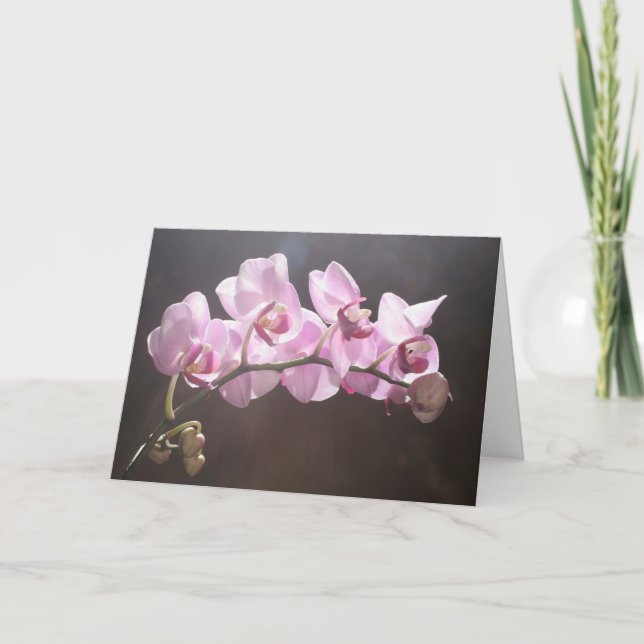 Cartão Answer To Prayer (Frente)