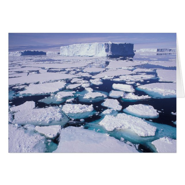 Cartão Antártica, Fluxo de gelo. (Frente Horizontal)