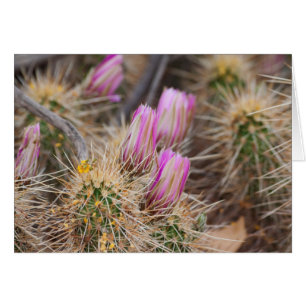 Cartão Antes das flores
