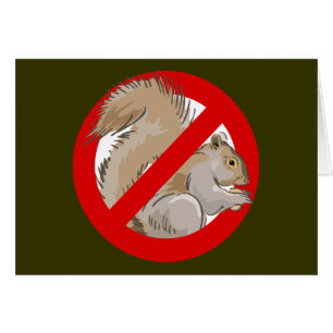 Cartão Anti-esquilo