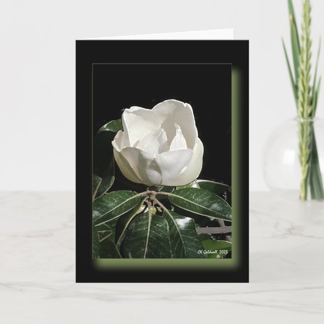 Cartão Anticipation (Frente)