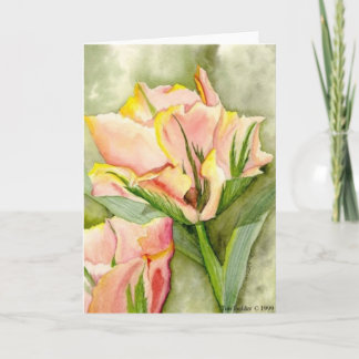 Cartão "Anticipation" to benefit Kairos Outside