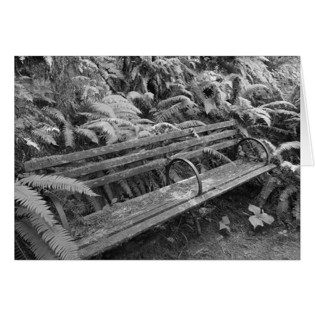 Cartão Antigo banco de jardim em placa monocromática (Frente Horizontal)