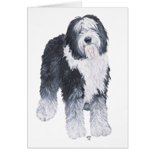 Cartão Antigo pastor Inglês