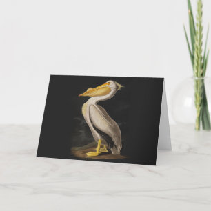 Cartão Antigo Pelicano Branco de John James Audubon Coste