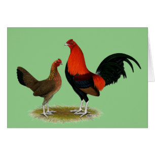 Cartão Antigos Bantams de Jogo Inglês: BB Red Pair