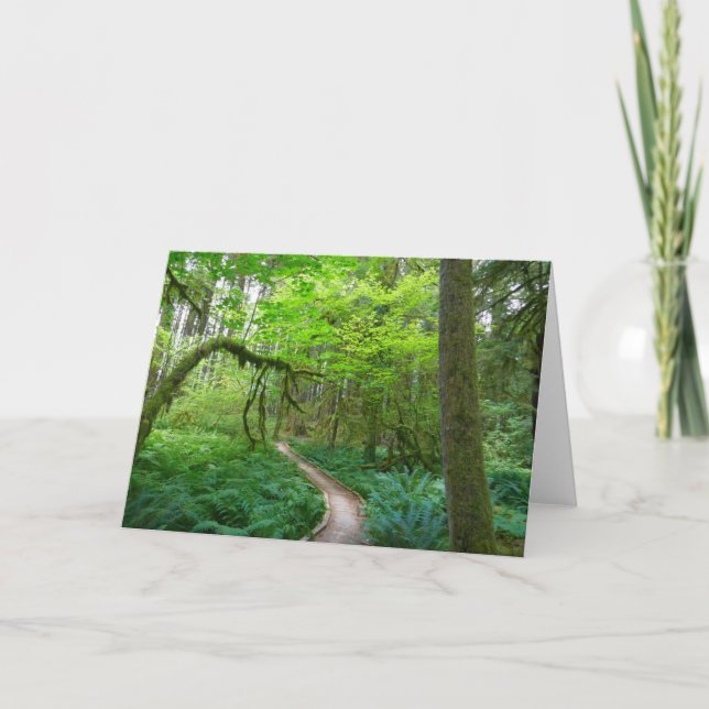 Cartão Antigos Groves seguem no Parque Nacional da Olimpi (Frente)