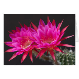 Cartão Antimatéria vezes dois