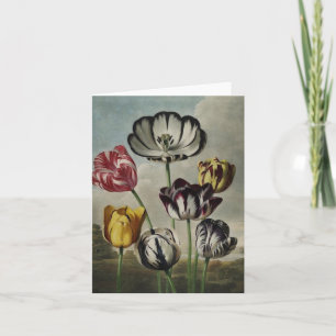 Cartão Antique botanicals tulips on notecards