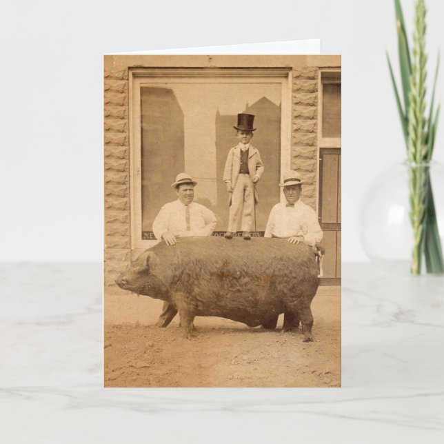 Cartão Antique Photo Humorous Birthday Greeting with Pig (Frente)