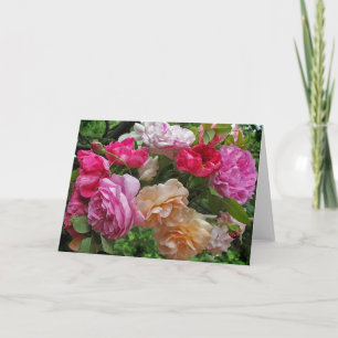 Cartão Antique Roses Note Card